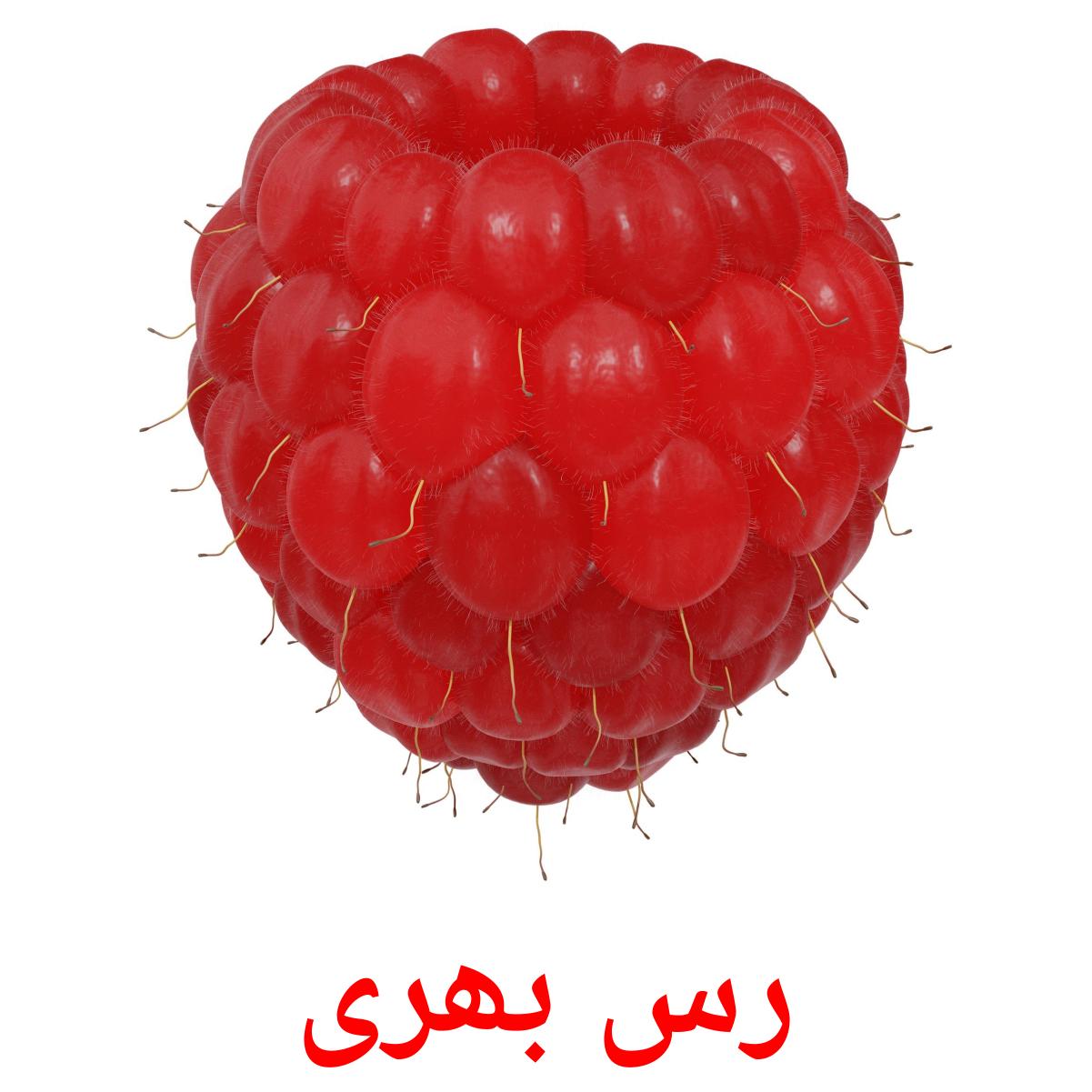 11 Free Berries Flashcards in urdu (PDF files)